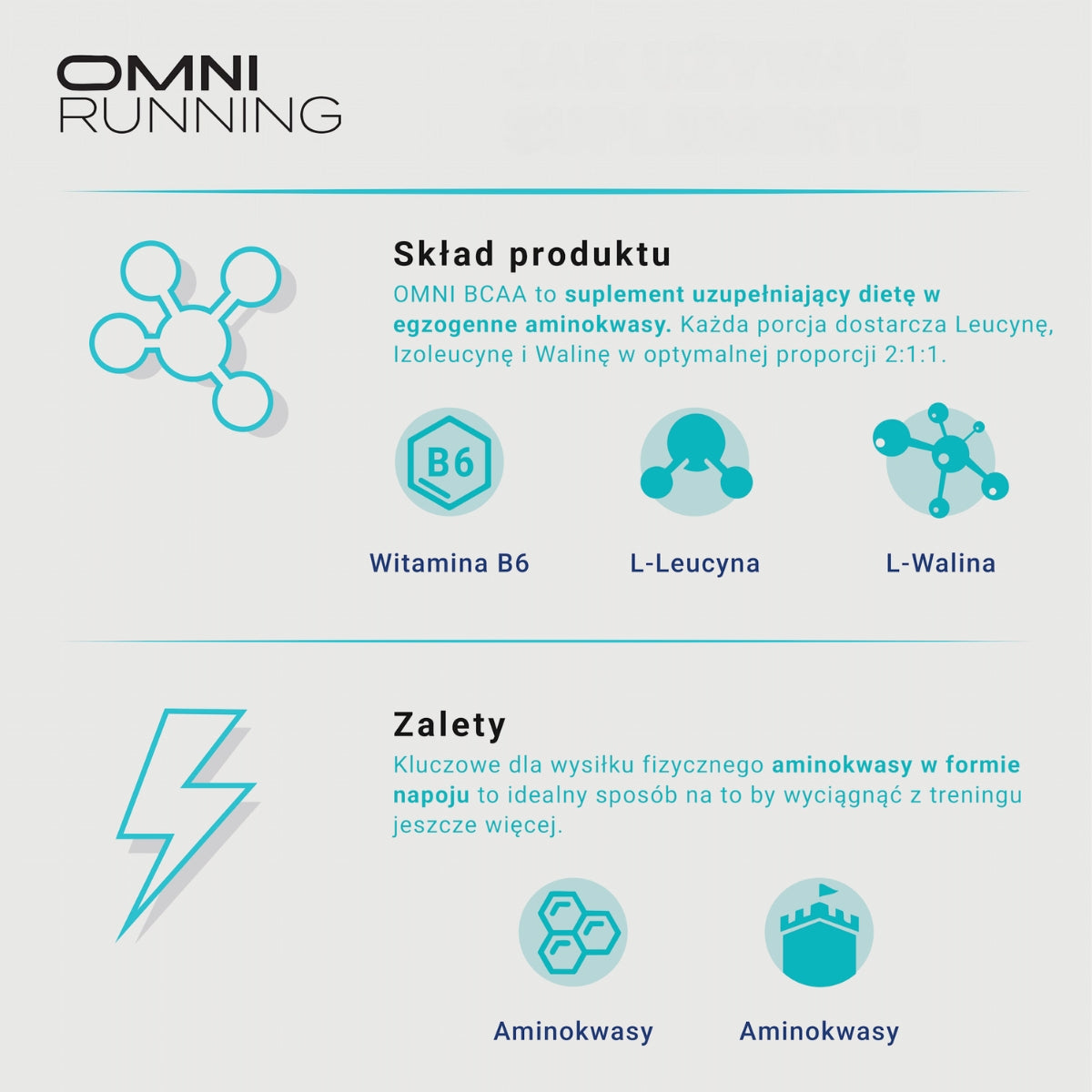 OMNI BCAA 2:1:1  AMINOKWASY DO PICIA